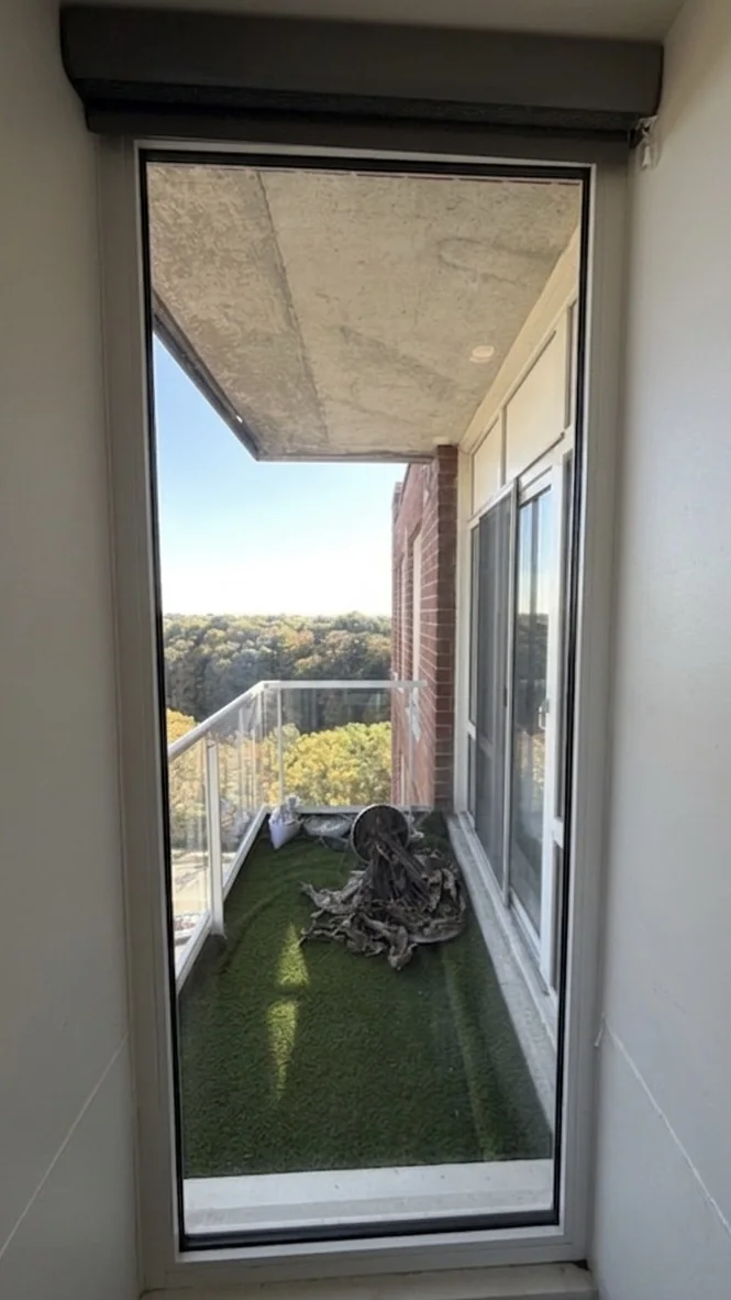 Residential entry-door sidelite after new glass installation